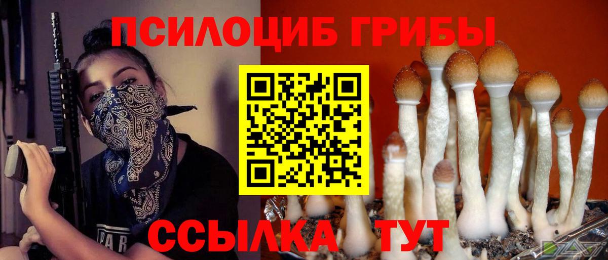 Псилоцибиновые грибы прущие грибы Сатка