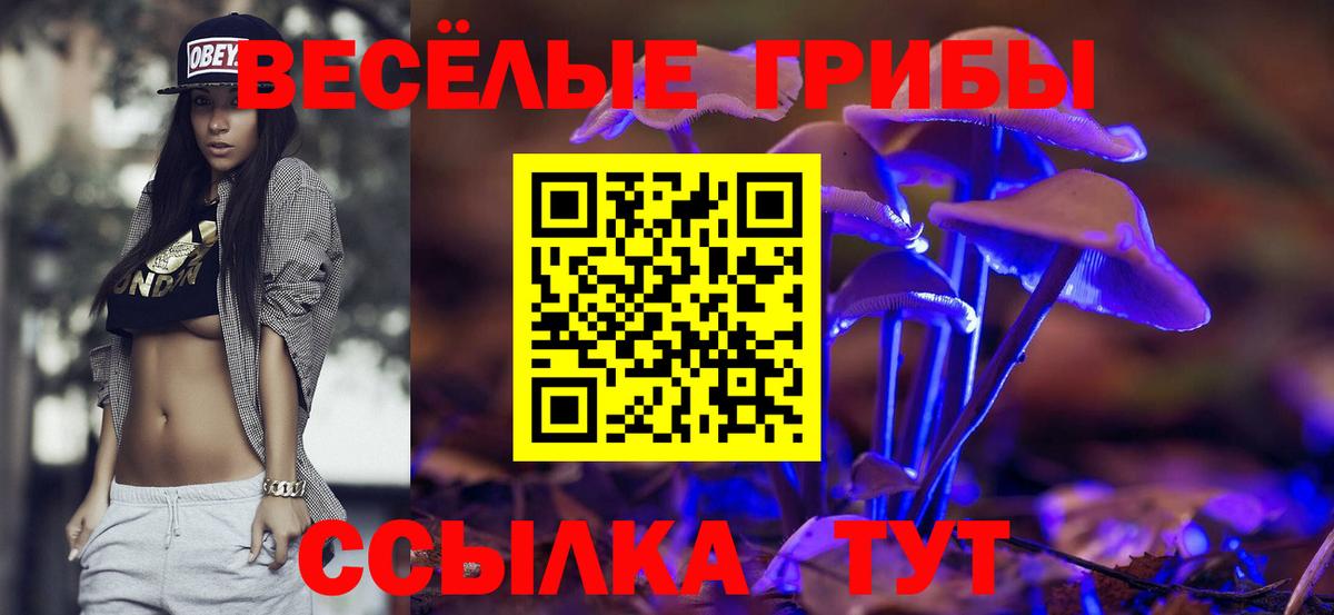 Псилоцибиновые грибы прущие грибы  Вход с VPN  Галлюциногенные грибы GOLDEN TEACHER  Сатка 